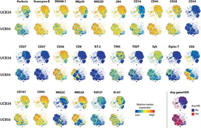 Umbilical Cord Blood and iPSC-Derived Natural Killer Cells Demonstrate Key Differences in Cytotoxic Activity and KIR Profiles